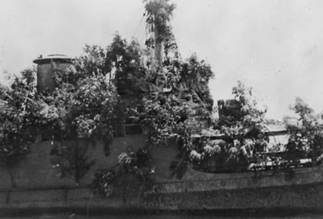 1a-ship-disguised-as-island-raw