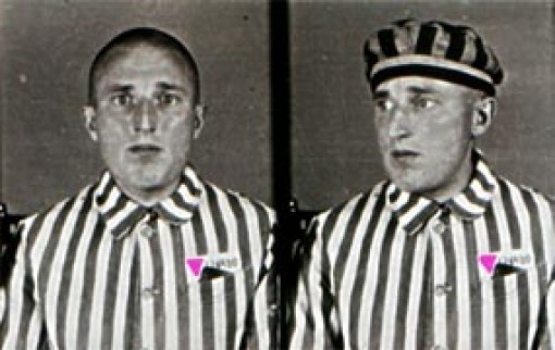 186331_80ac5a6c78c27116e3afaba25e355321_510x