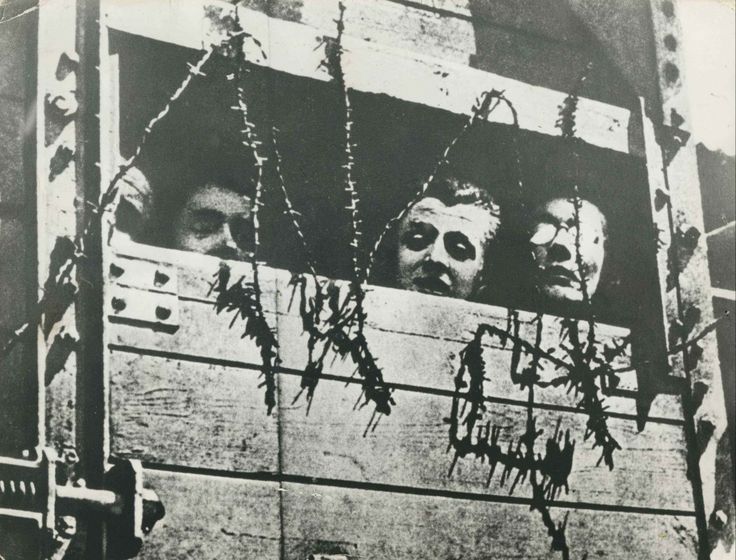 d09657c5fd57039b5ca24b078e521219