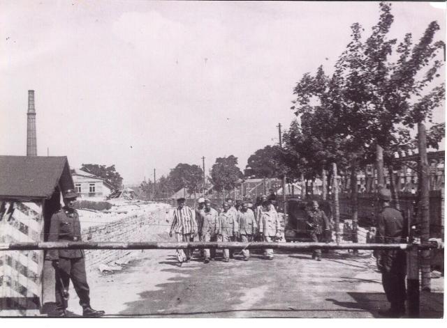 plaszow-labour-detail