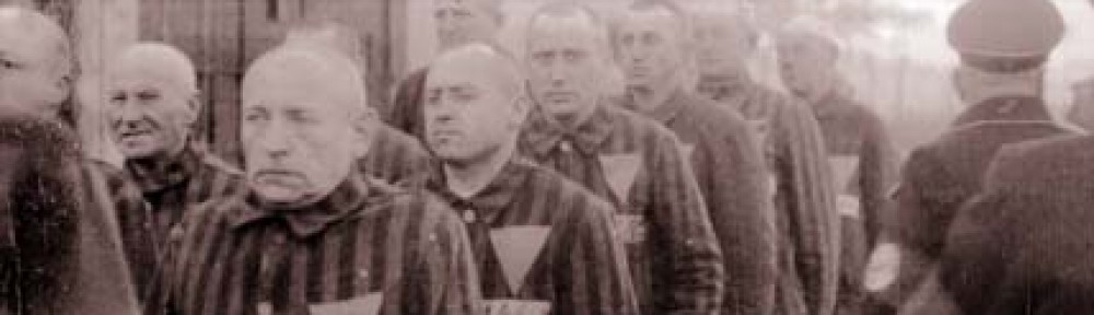 5a0be756310146b239862e7ef8b745d9