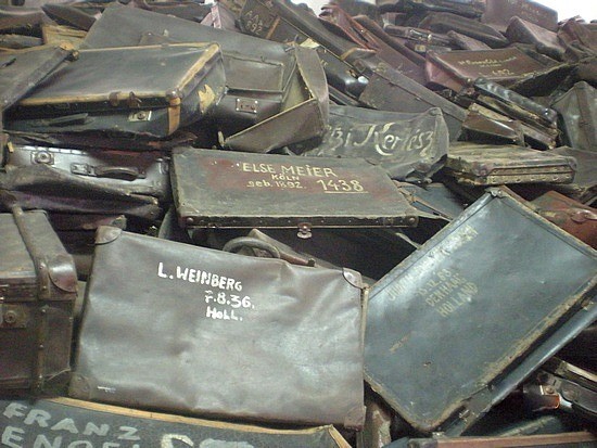 f0050ad8eadbbda4805563da8ef390fe