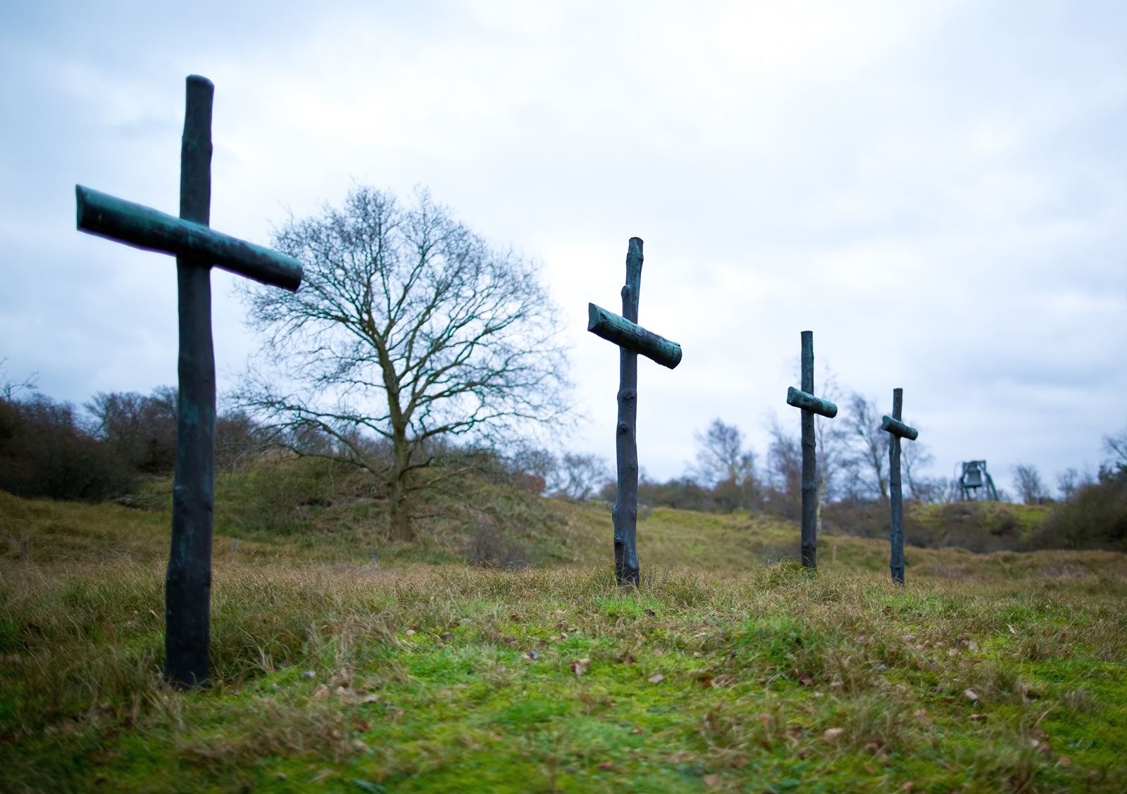 8e69c5ed-a2e5-4145-928e-d5886af3f78d