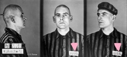 c756c38d342f044bf9220233e54adb22--pink-triangle-concentration-camps