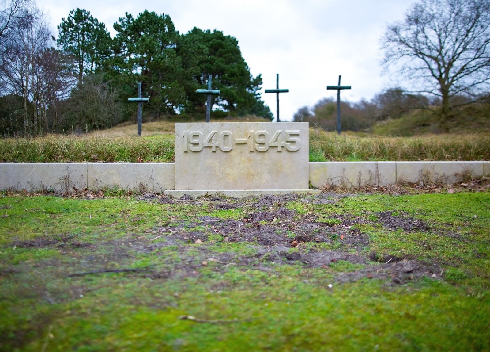 df3aee7f-0bde-4a9e-b3e1-fa0e1e1078e0