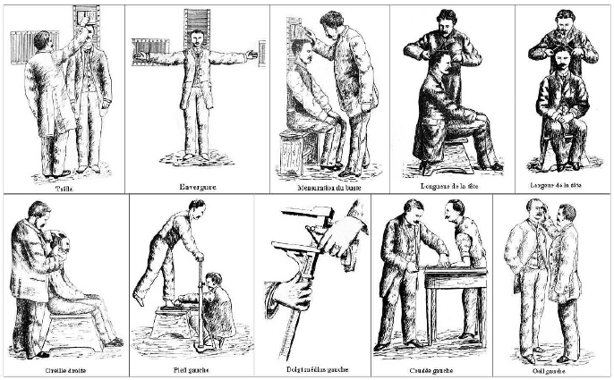 Fig-213-Illustration-of-Bertillon's-anthropometric-measurements-adapted-from-12