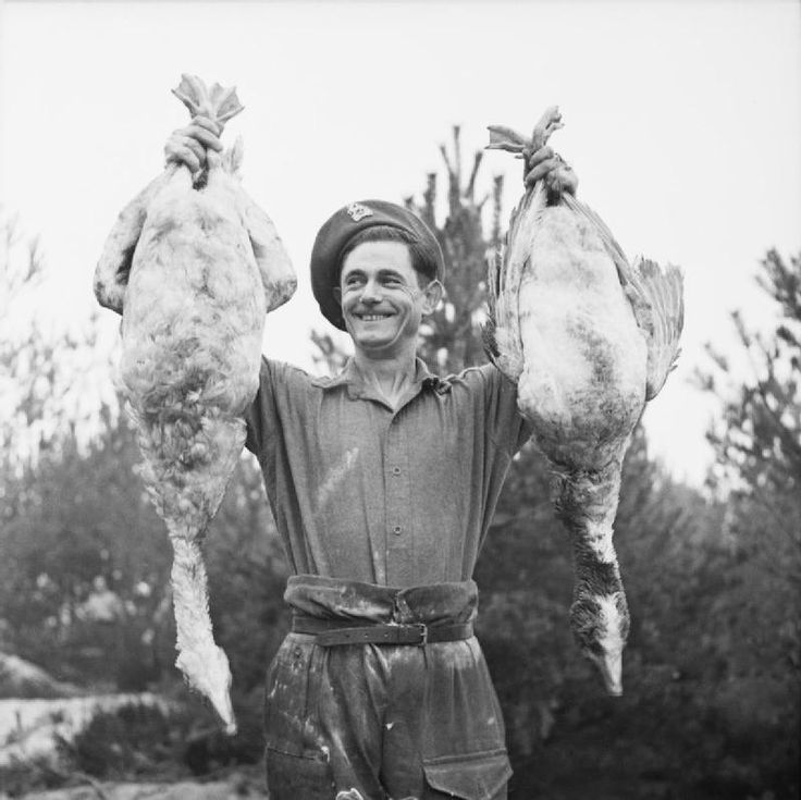 e7787b0df00f5044bf71011b2d62a317