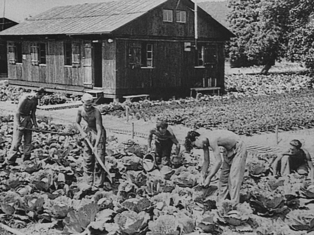 Notlandung_37-09_-_Wauwilermoos_Gartenarbeiten_zur_Selbstversorgung