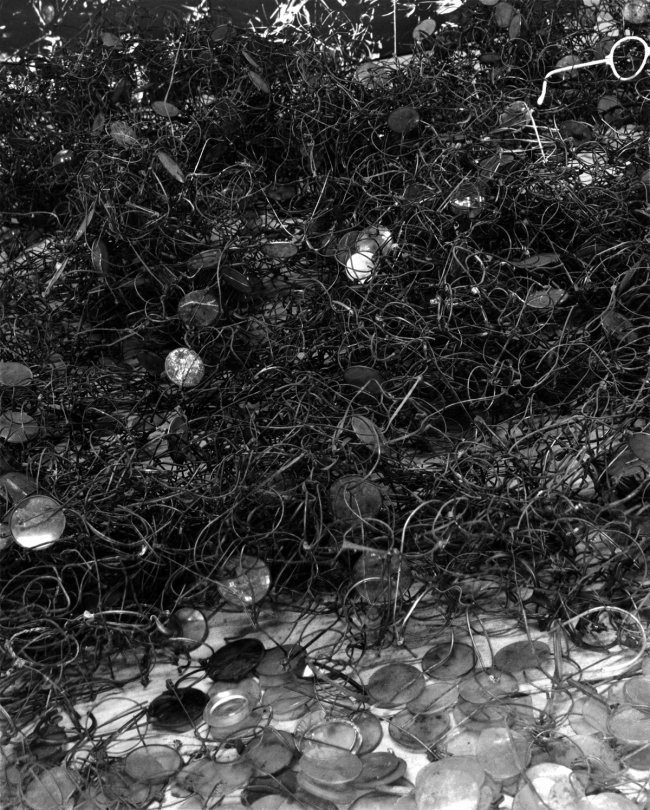 holocaust-series-13_0