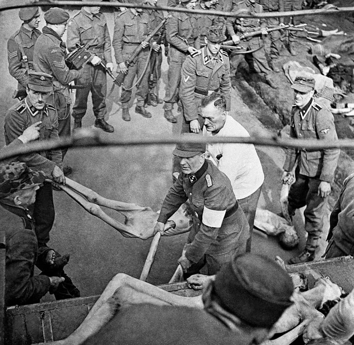 SS prison guards forced to load victims of Bergen-Belsen concentration camp into a trucks for burial, 1945