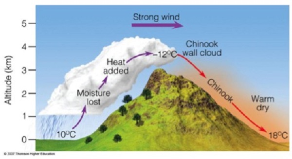 xChinook.jpg.pagespeed.ic.1sFYO5pwEN