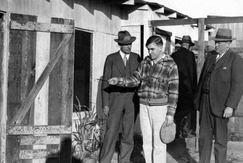 b43b1d938837f3ab1d7d2b22d5943cf0