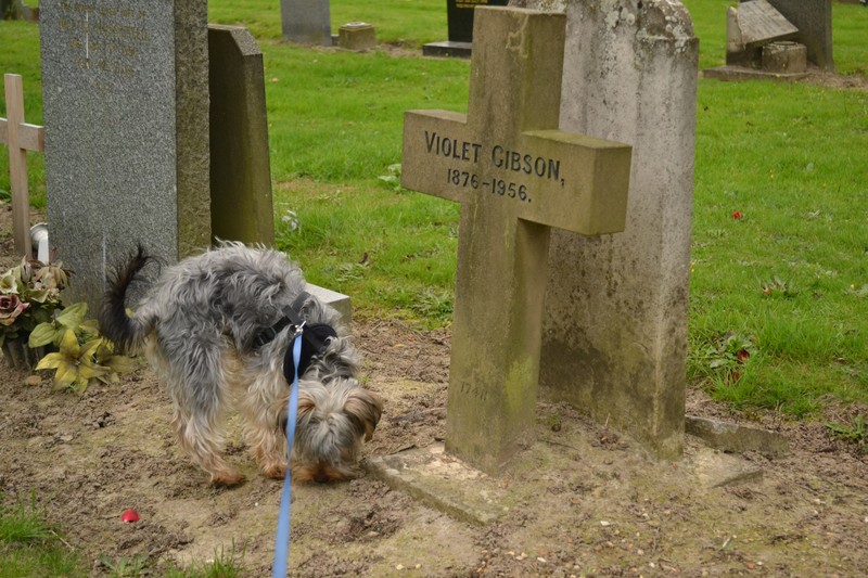 dsc_0221_nef_embedded-resized