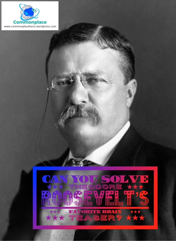 #presidents #POTUS #brainteasers #TheodoreRoosevelt