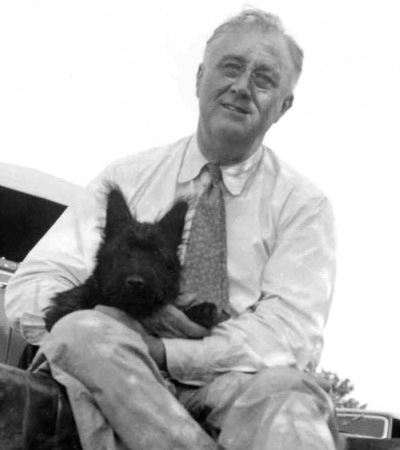 FDR-Fala-1940-crop