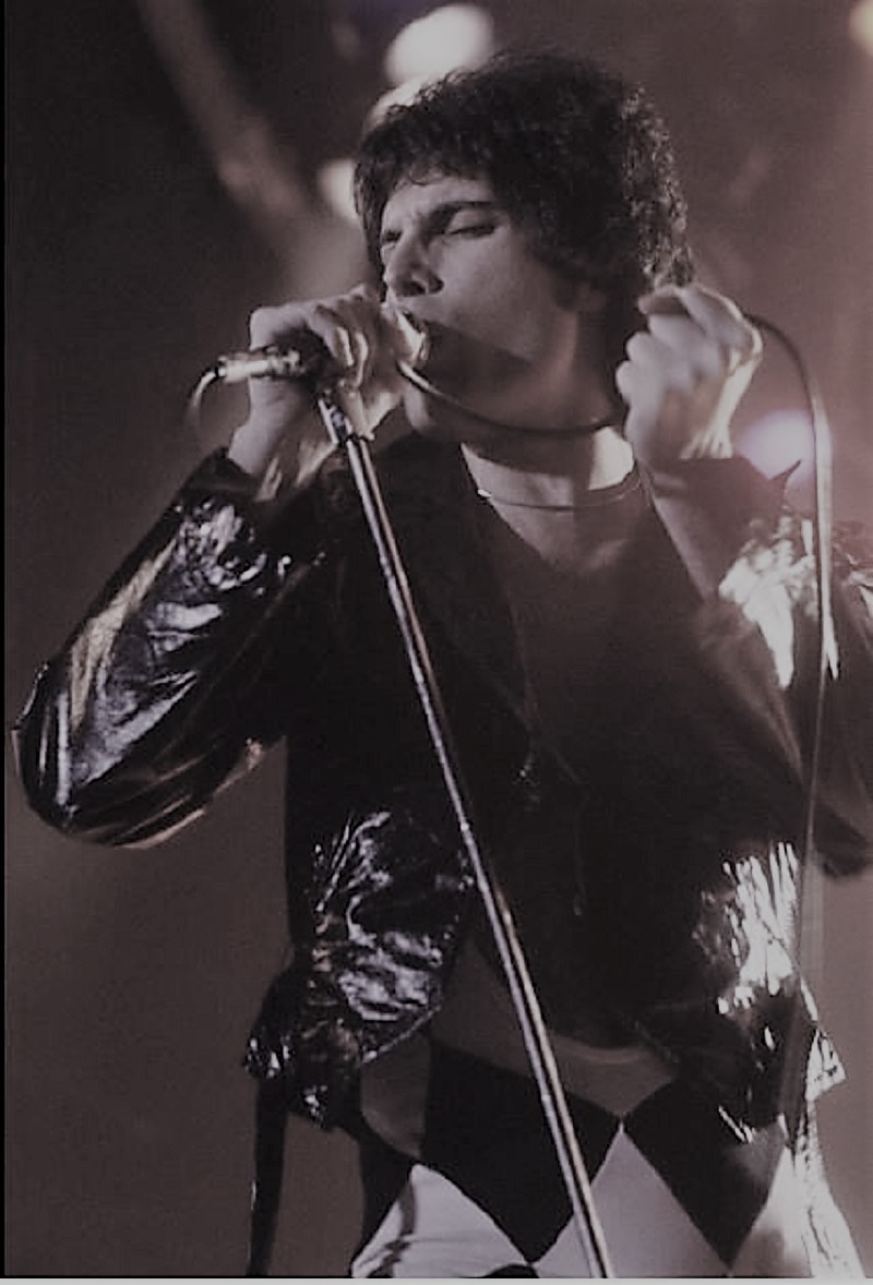 Freddie
