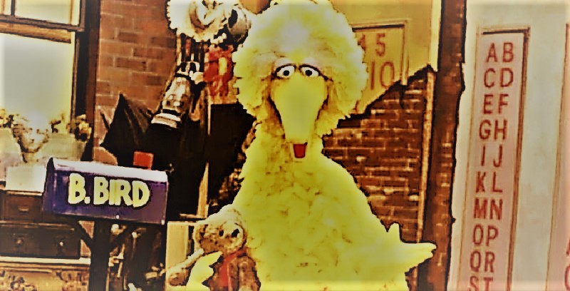 big bird