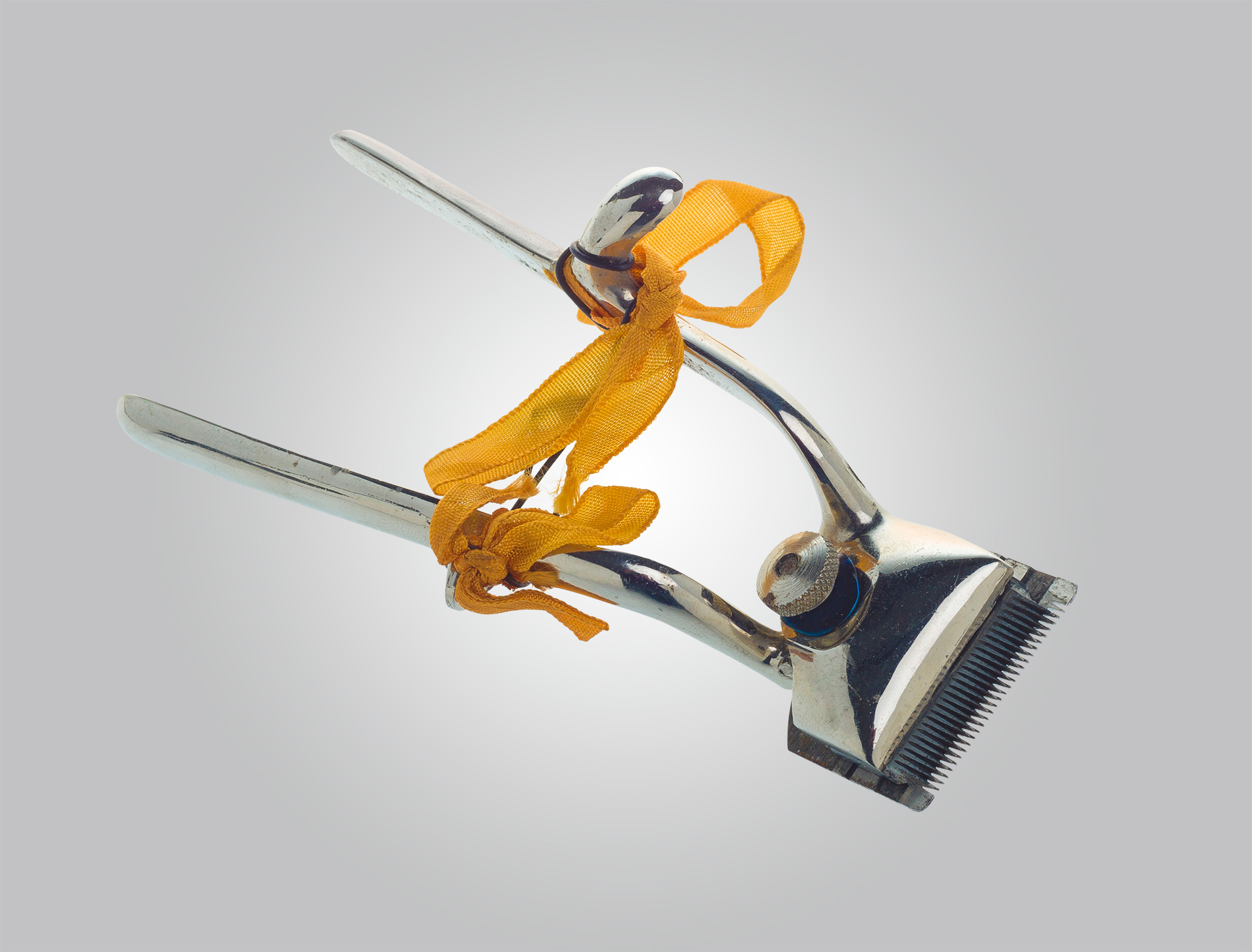 96.-Geknipt-en-geschoren