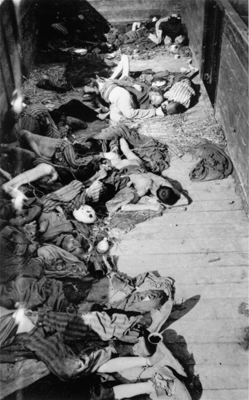 Dead_corpses_in_train_dachau