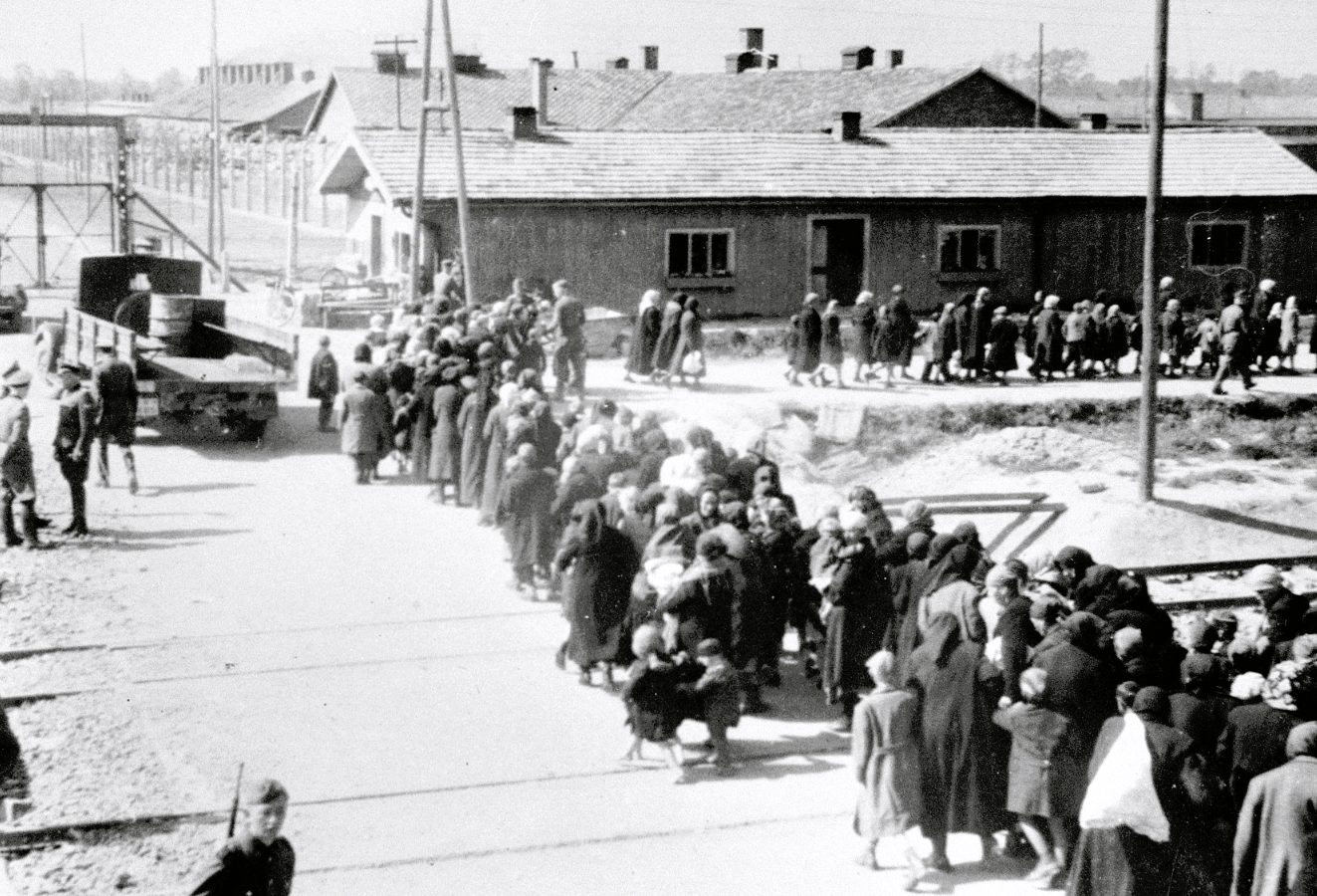 Hitler Insecticides Zyklon B: From Pesticide to Instrument of Mass Murder During the ...