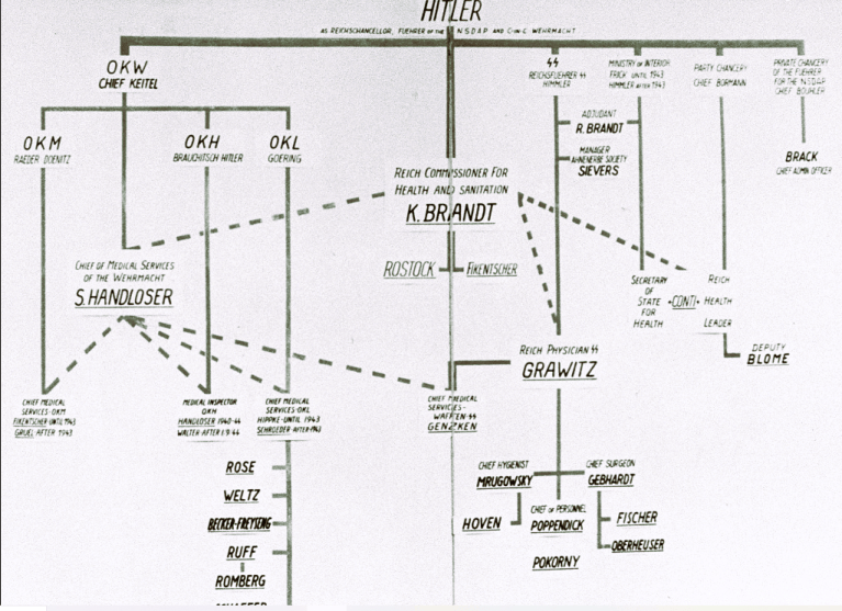 Siegfried Ruff Karl Brandt and Medical Ethics During the Third Reich and the Holocaust ...